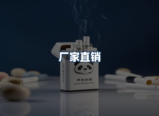 专业团队办公环境